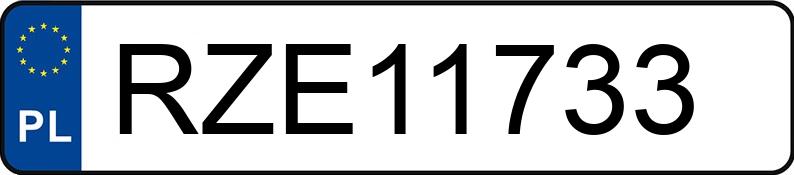 Numer rejestracyjny RZE 11733 posiada SEAT Leon 1.9 SDI E3 1M Stella - RZE11733