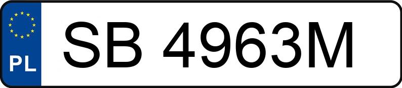 Numer rejestracyjny SB 4963M posiada MERCEDES-BENZ 220 - SB4963M