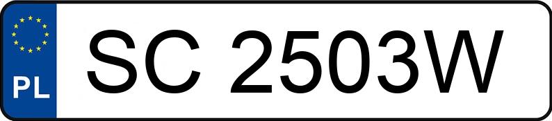 Numer rejestracyjny SC 2503W posiada CITROEN JUMPY - SC2503W