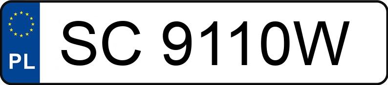 Numer rejestracyjny SC 9110W posiada VOLKSWAGEN PASSAT - SC9110W