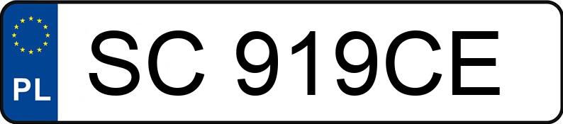 Numer rejestracyjny SC 919CE posiada DAF XF 460 FT - SC919CE