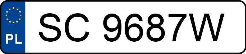 Numer rejestracyjny SC 9687W posiada RENAULT Trafic 2.5 dCi MR`07 E4 3.1t - SC9687W Numer rejestracyjny SC 9687W posiada RENAULT Trafic 2.5 dCi MR`07 E4 3.1t - SC9687W