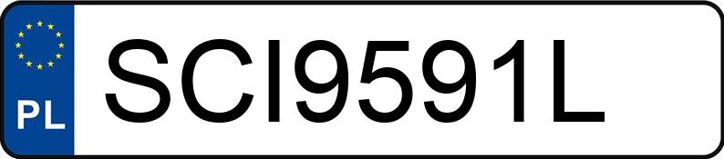 Numer rejestracyjny SCI 9591L posiada PORSCHE Panamera MR`20 E6d 4 10 Years Edition Aut. - SCI9591L