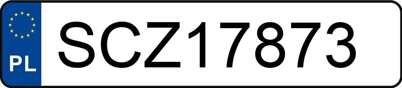 Numer rejestracyjny SCZ 17873 posiada SEAT IBIZA - SCZ17873