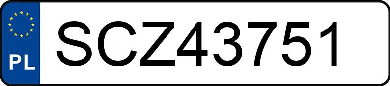 Numer rejestracyjny SCZ 43751 posiada NISSAN Terrano II 2.7 TD MR`97 Terrano II 2.7 TD MR`97 - SCZ43751