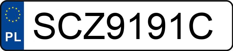 Numer rejestracyjny SCZ 9191C posiada BMW 318I - SCZ9191C