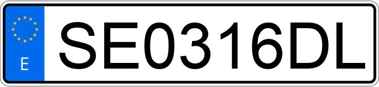 Numer rejestracyjny SE0316DL posiada MERCEDES 300 (124)