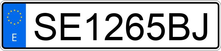 Numer rejestracyjny SE1265BJ posiada FORD ESCORT