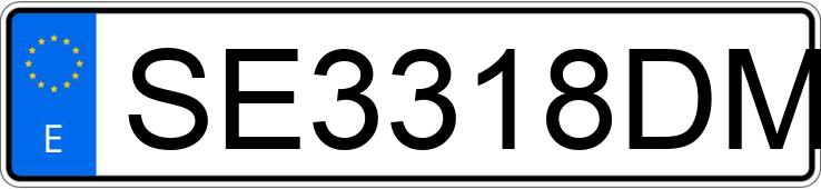 Registreringsnummeret SE3318DM har NISSAN TERRANO II