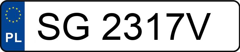 Numer rejestracyjny SG 2317V posiada BMW 118I - SG2317V