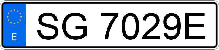 Numer rejestracyjny SG7029E posiada RENAULT 19