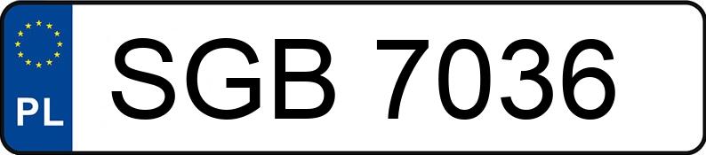 Numer rejestracyjny SGB 7036 posiada MERCEDES-BENZ SPRINTER - SGB7036