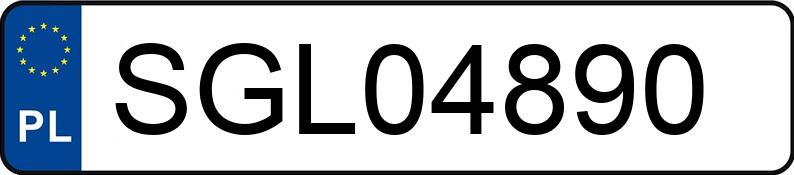 Numer rejestracyjny SGL 04890 posiada SEAT IBIZA - SGL04890