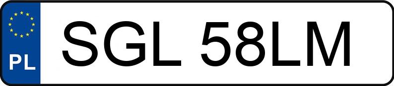 Numer rejestracyjny SGL 58LM posiada FIAT Palio Weekend 1.6 16V Kat. 100 HL - SGL58LM