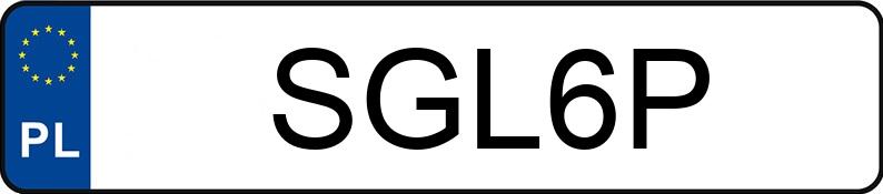 Numer rejestracyjny SGL 6P posiada MERCEDES-BENZ 300 D 124 300D - SGL6P