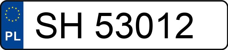 Numer rejestracyjny SH 53012 posiada SKODA FABIA - SH53012