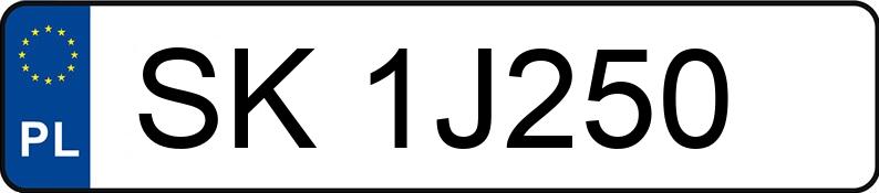 Numer rejestracyjny SK 1J250 posiada SKODA OCTAVIA - SK1J250