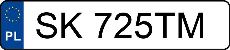 Numer rejestracyjny SK 725TM posiada SKODA Scala 1.5 TSI MR`19 E6d Style - SK725TM