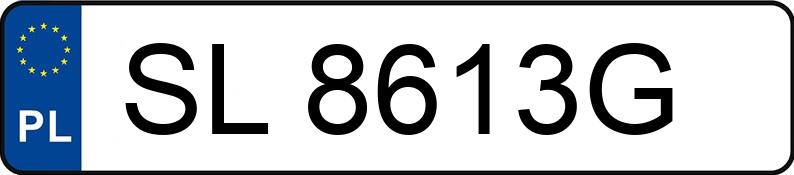 Numer rejestracyjny SL 8613G posiada RENAULT Megane II 1.6 MR`02 E3 Pack Authentique Aut. - SL8613G