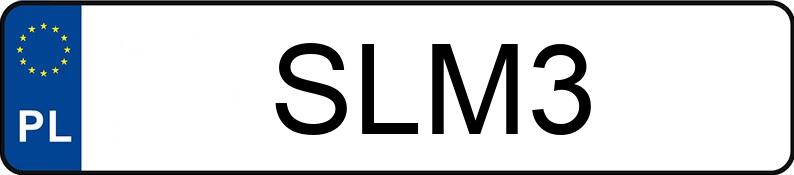 Numer rejestracyjny SLM 3 posiada CHEVROLET (USA) Astro Van I 4.3 Kat. 2.3t CS Aut. - SLM3