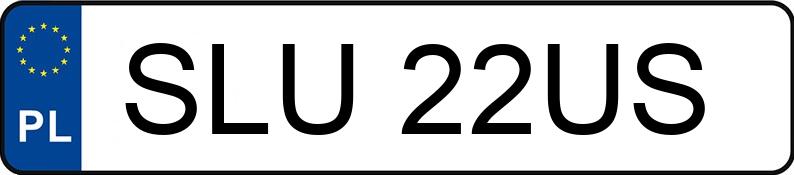 The registration number SLU 22US has HYUNDAI TIBURON - SLU22US