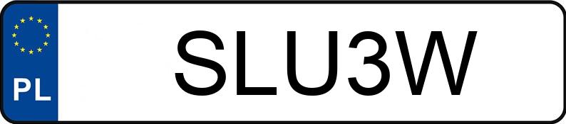 Numer rejestracyjny SLU 3W posiada WSK M06 B3 - SLU3W