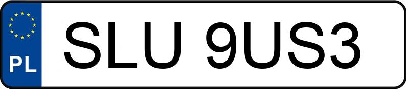 Numer rejestracyjny SLU 9US3 posiada SEAT IBIZA - SLU9US3