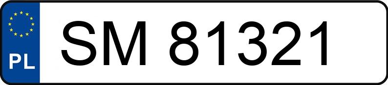 Numer rejestracyjny SM 81321 posiada RENAULT Megane Grandtour II 2.0 MR`07 E4 Privilege Aut. - SM81321