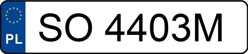 Numer rejestracyjny SO 4403M posiada BMW 320i Cabrio Kat. MR`02 E3 E46 Ci - SO4403M