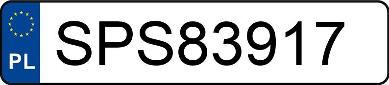 Numer rejestracyjny SPS 83917 posiada OPEL MOVANO - SPS83917