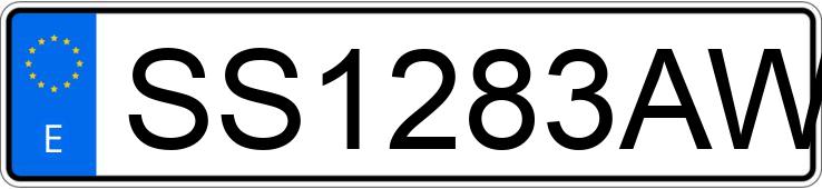 Numer rejestracyjny SS1283AW posiada RENAULT 19