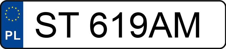 Numer rejestracyjny ST 619AM posiada BMW 316i Kat. E36 316i Kat. E36 - ST619AM