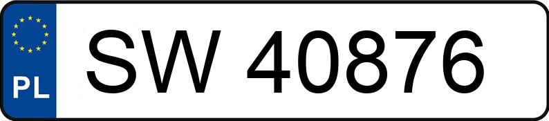 Numer rejestracyjny SW 40876 posiada VOLKSWAGEN NEW BEETLE - SW40876
