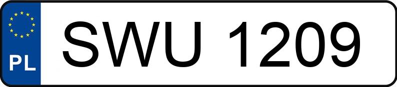 Numer rejestracyjny SWU 1209 posiada RENAULT R 19 1.8 MR`93 Champion - SWU1209