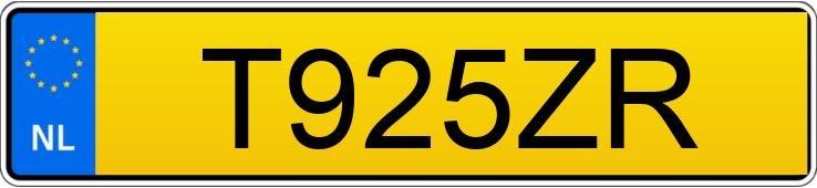 Numer rejestracyjny T925ZR posiada BMW IX3