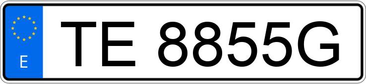 Numer rejestracyjny TE8855G posiada FIAT DUCATO