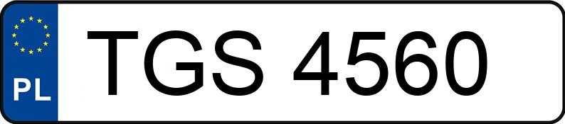 Numer rejestracyjny TGS 4560 posiada VOLKSWAGEN LT 28 2.8t LT 28 2.8t - TGS4560