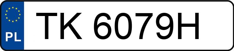Numer rejestracyjny TK 6079H posiada CITROEN JUMPER 35+ L4H2 157 - TK6079H