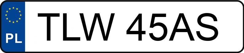 Numer rejestracyjny TLW 45AS posiada BMW 318 Touring Diesel MR`06 E4 E91 318 Touring Diesel MR`06 E4 E91 - TLW45AS
