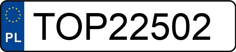 Numer rejestracyjny TOP 22502 posiada BMW 330 Touring Diesel Kat. MR`01 E3 E46 330 Touring Diesel Kat. MR`01 E3 E46 - TOP22502
