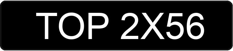 Numer rejestracyjny TOP 2X56 posiada SKODA Felicia 1.6 MR`94 GLXi - TOP2X56