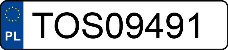 Numer rejestracyjny TOS 09491 posiada BMW 316 I - TOS09491