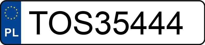 Numer rejestracyjny TOS 35444 posiada BMW 318I - TOS35444
