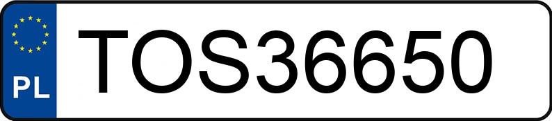 Numer rejestracyjny TOS 36650 posiada AUDI A4 Avant 1.9 TDi Kat. MR`00 E3 8E A4 Avant 1.9 TDi Kat. MR`00 E3 8E - TOS36650