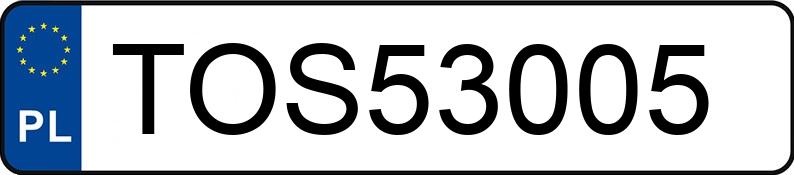Numer rejestracyjny TOS 53005 posiada AUDI A4 Avant 1.9 TDi Kat. MR`05 E3 8E A4 Avant 1.9 TDi Kat. MR`05 E3 8E - TOS53005