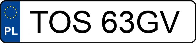 Numer rejestracyjny TOS 63GV posiada SEAT TOLEDO - TOS63GV