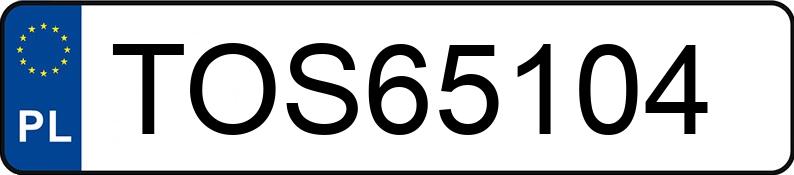 Numer rejestracyjny TOS 65104 posiada BMW 728i Kat. E38 728i Kat. E38 - TOS65104