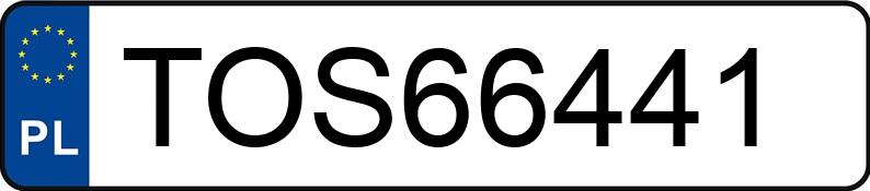 Numer rejestracyjny TOS 66441 posiada SKODA FABIA - TOS66441