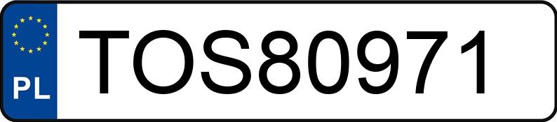 Numer rejestracyjny TOS 80971 posiada BMW 318I - TOS80971