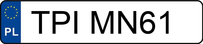 Numer rejestracyjny TPI MN61 posiada SEAT IBIZA - TPIMN61